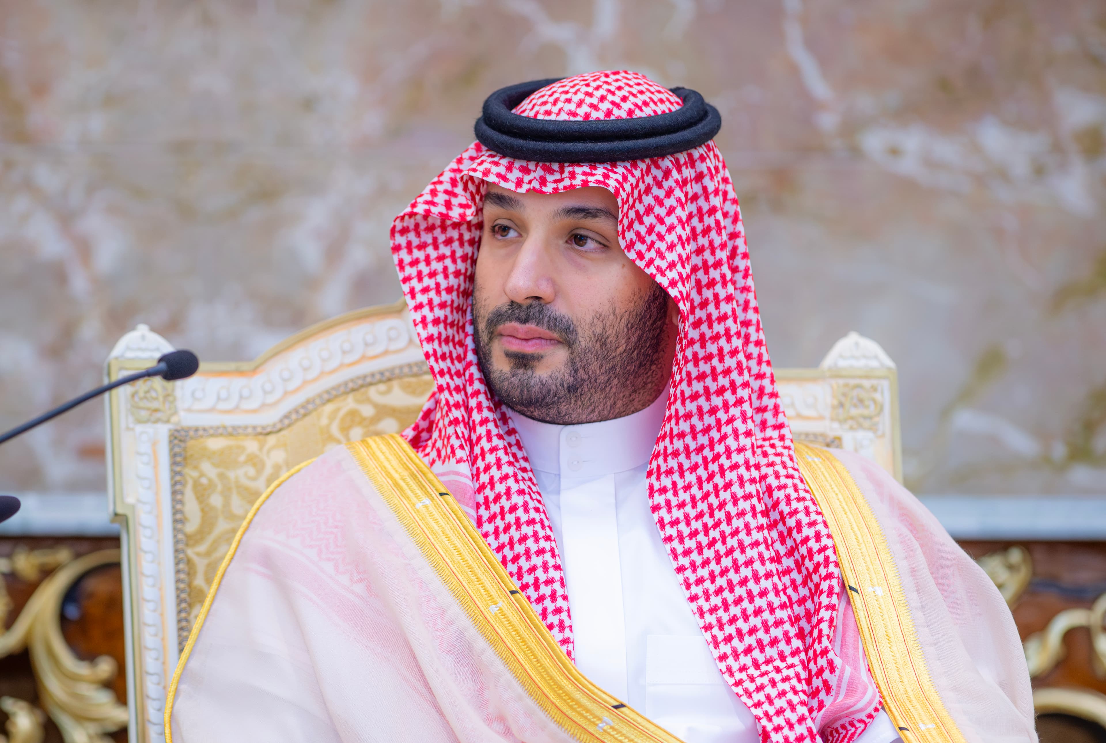 صاحب السمو الملكي الامير محمد بن سلمان بن عبدالعزيز ال سعود